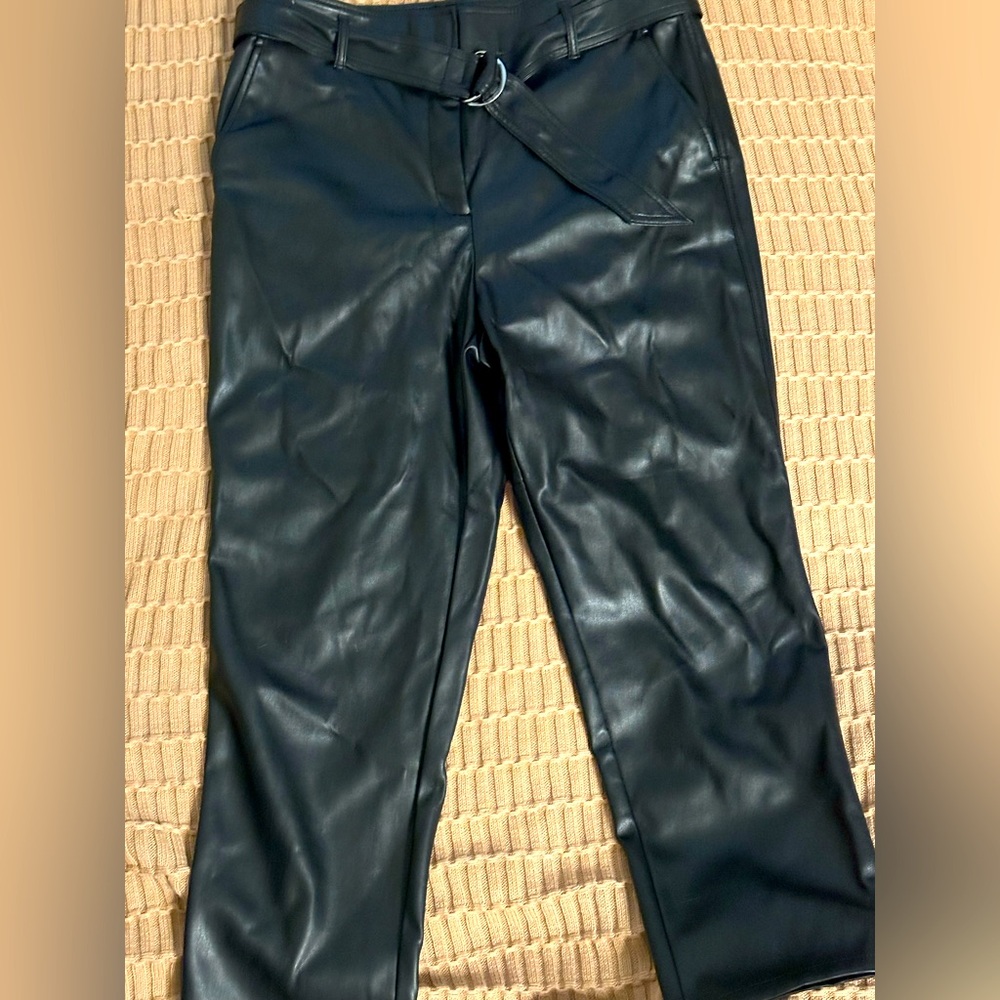 Loft leather pants